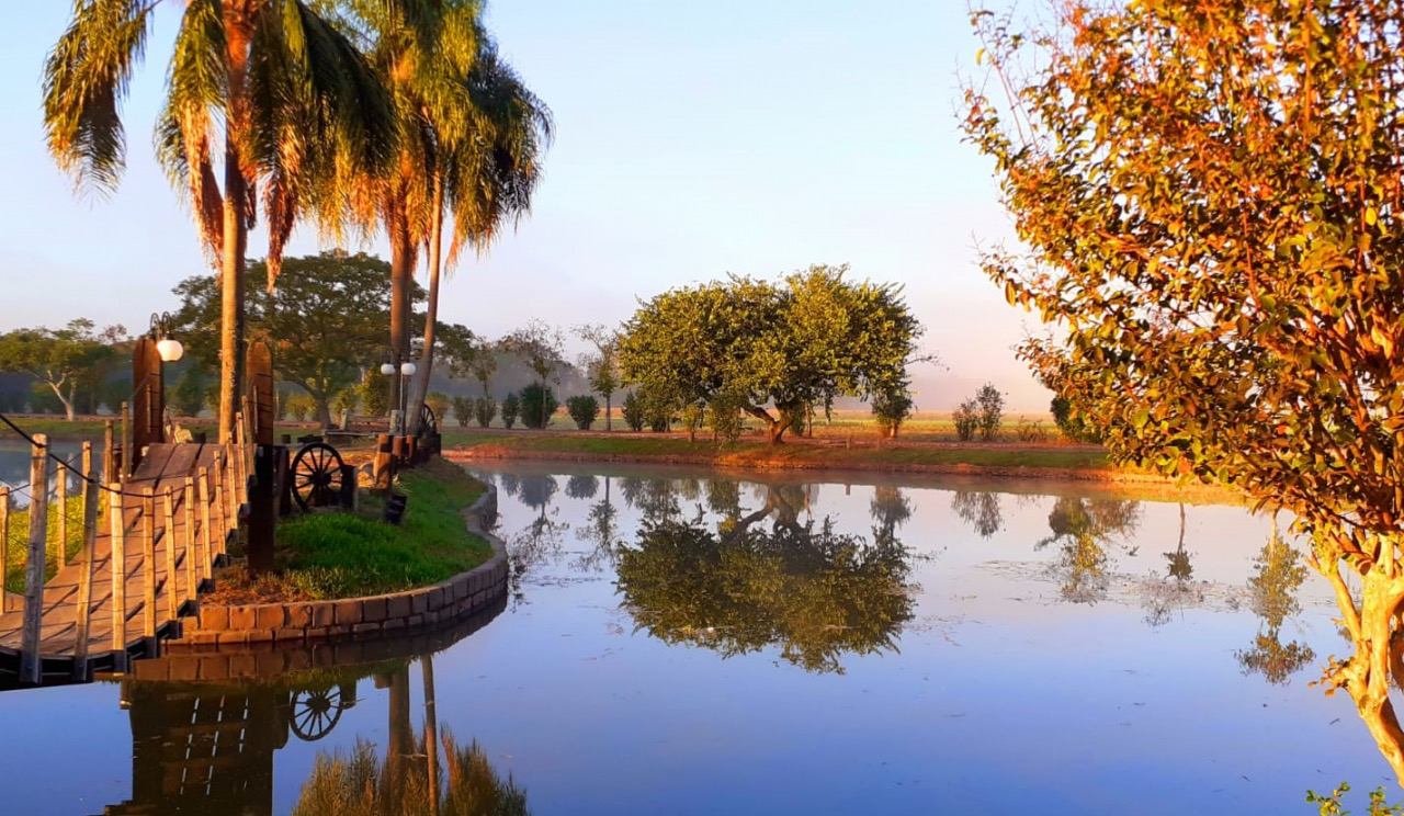 Passarela de madeira para a ilha do lago, no Parque Histórico Municipal Obaldino Tessele, ao amanhecer